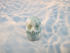 LM-M-20-b :  B-Grade Larimar Crystal Skull (Evian)