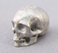 MT-S-003 : Gibeon Meteorite Crystal Skull