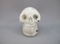 MS-M-150 : Rainbow Moonstone Crystal Skull