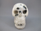 MS-M-300 : Rainbow Moonstone Crystal Skull