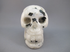 MS-M-300 : Rainbow Moonstone Crystal Skull