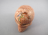 OP-M-41-f : Fire Opal Crystal Skull
