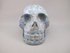 RKY-M-769-f  : Ruby Kyanite with Fuchsite Crystal Skull