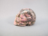 RH-S-50 : Rhodonite Crystal Skull