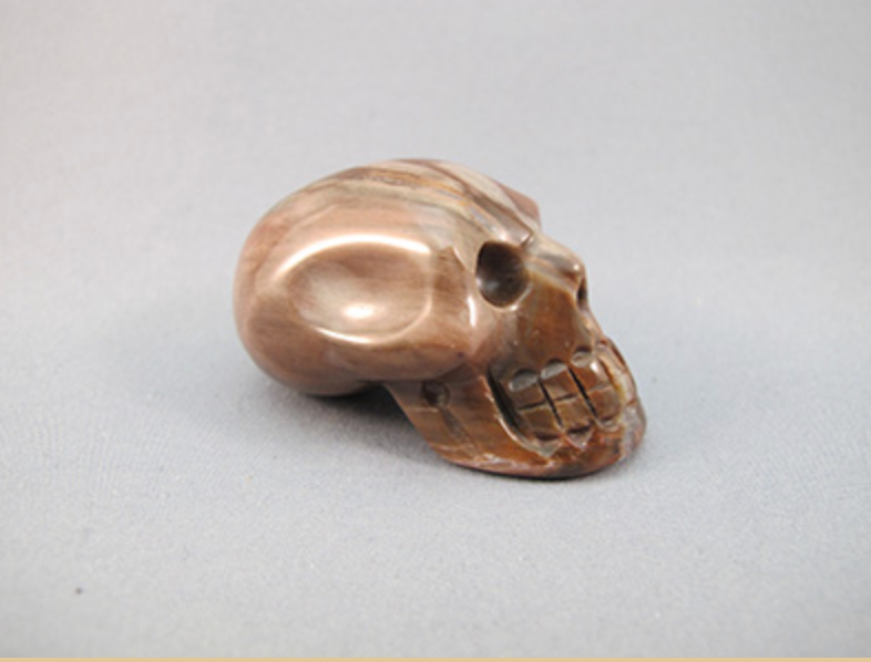 PW-S-55-m-b  : Brown Petrified Wood  Mayan Crystal Skull