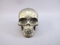 P-S-140 : Pyrite Crystal Skull