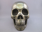 P-L-2216 : Pyrite Crystal Skull