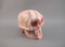RC-M-170 : Rhodochrosite Crystal Skull