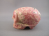 RC-M-180 : Rhodochrosite Crystal Skull