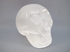 SL-M-250 : Selenite Crystal Skull