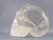 CCS-C-1585 :  Camera Light Citrine Crystal Skull