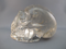 CCS-Q-1189 : Quartz Camera Crystal Skull