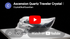 ACS-Q-T-376  : Ascension Quartz Traveler Crystal Skull
