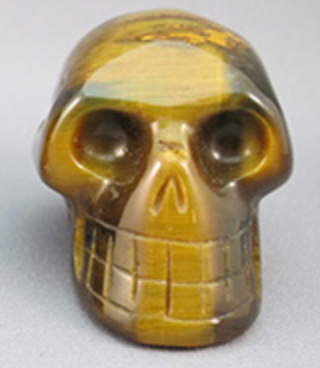 BTE-S-100-g : Gold/Blue Tiger Eye Crystal Skull