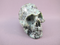 T-S-100 : Turquoise Crystal Skull