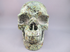 T-L-1319 : African Turquoise Crystal Skull