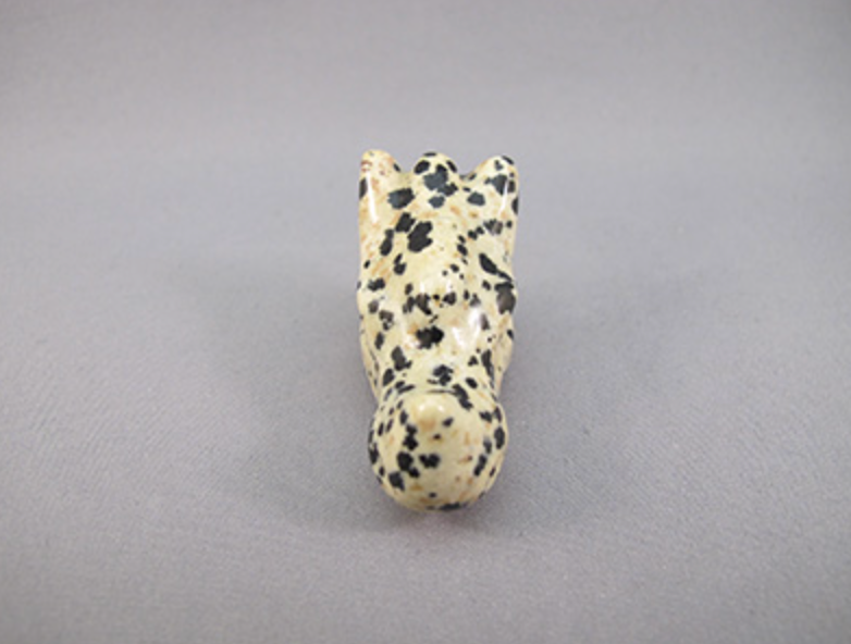 DJ-DR-25 : Dalmatian Jasper Dragon Skull