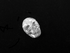 T-S-002.8-f-sh :  Stonehenge Flat Gibeon Meteorite Crystal Skull