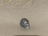 MT-S-003.5-e : Egypt Energized Gibeon Meteorite Crystal Skull