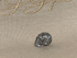 MT-S-003.5-e : Egypt Energized Gibeon Meteorite Crystal Skull