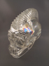 ACS-Q-3350-b : Brave Quartz Crystal Skull