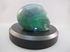 A-F-M-246 : Adoption Green, Blue and White Fluorite Crystal Skull